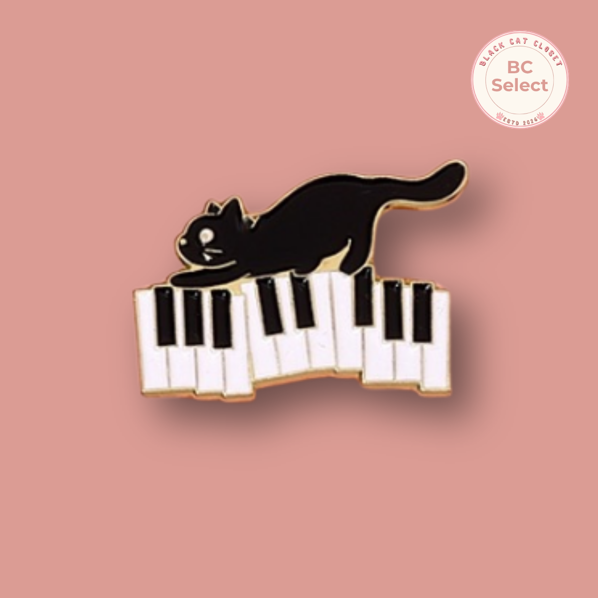Black Cat  Pin