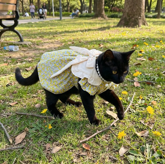 Summer Picnic Floral Dress (S-2XL)