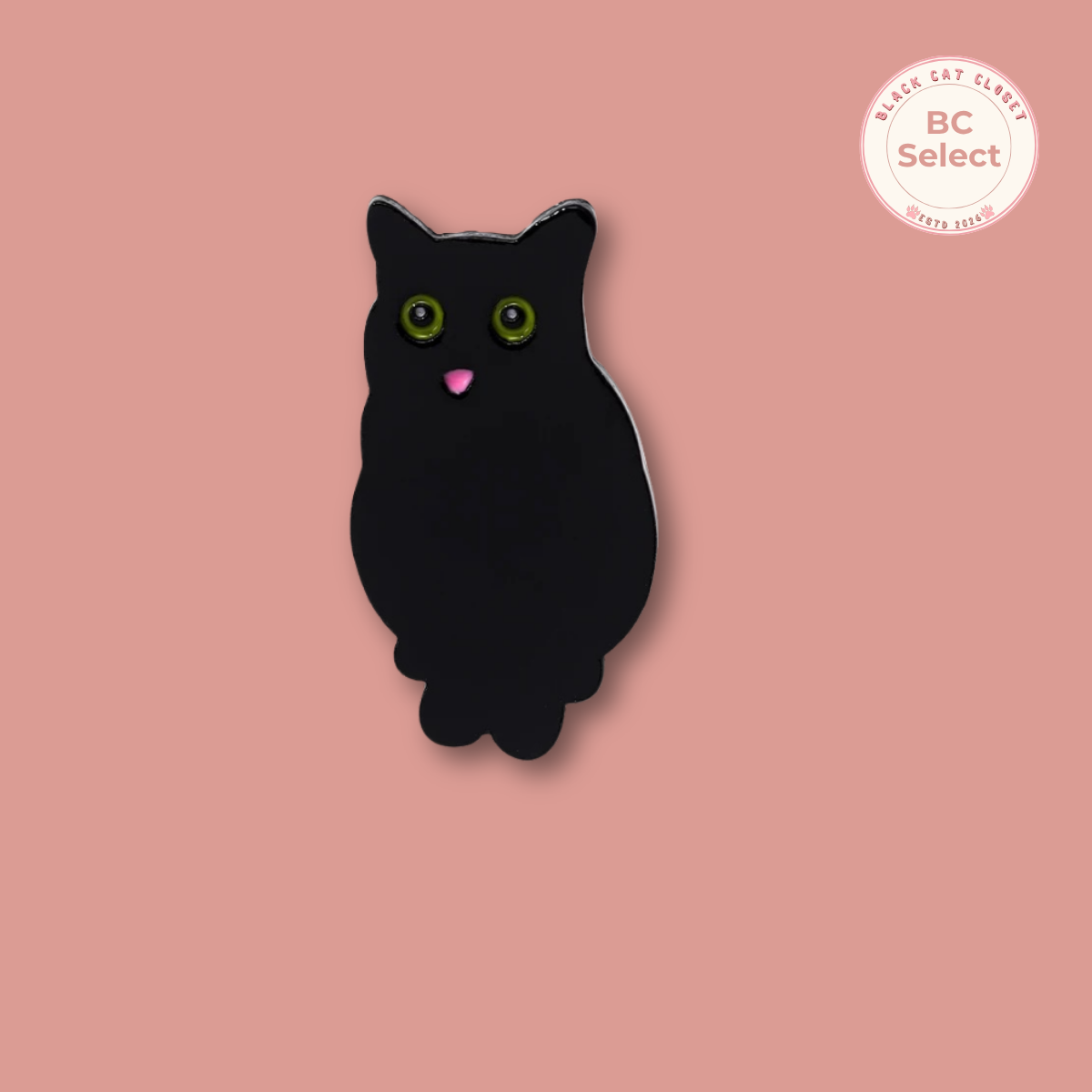 Black Cat  Pin