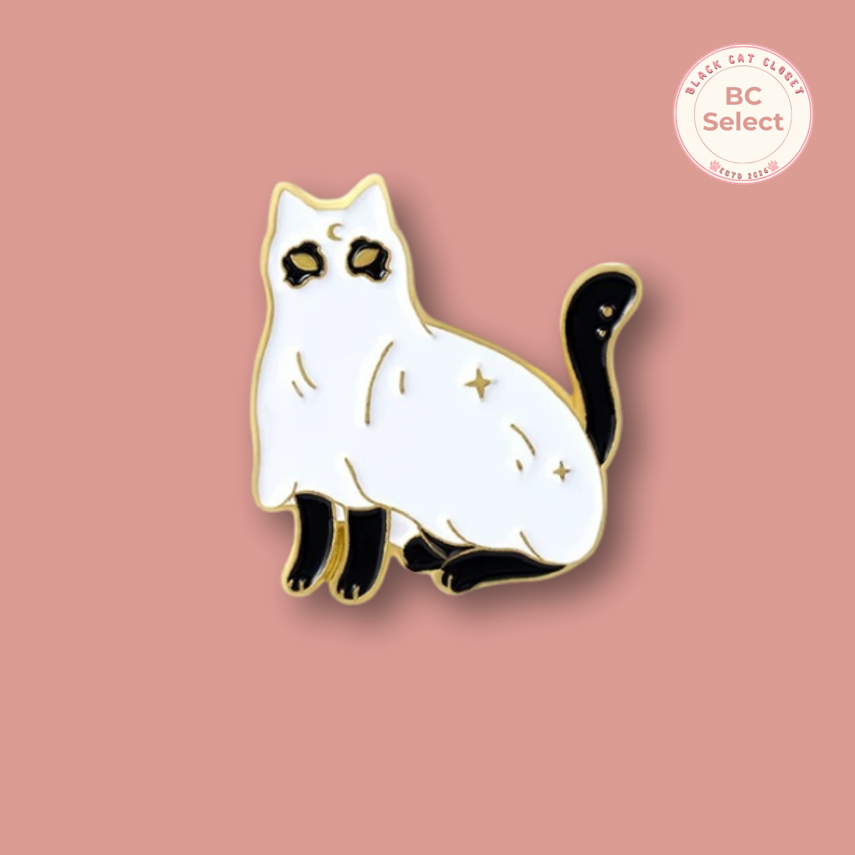 Black Cat  Pin
