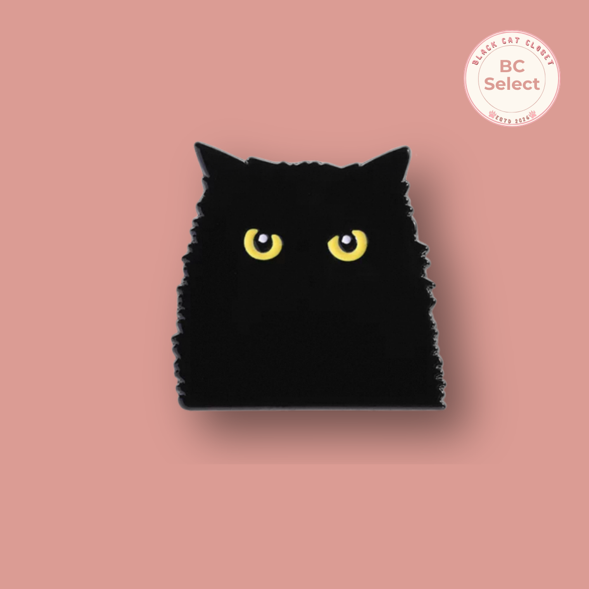 Black Cat  Pin