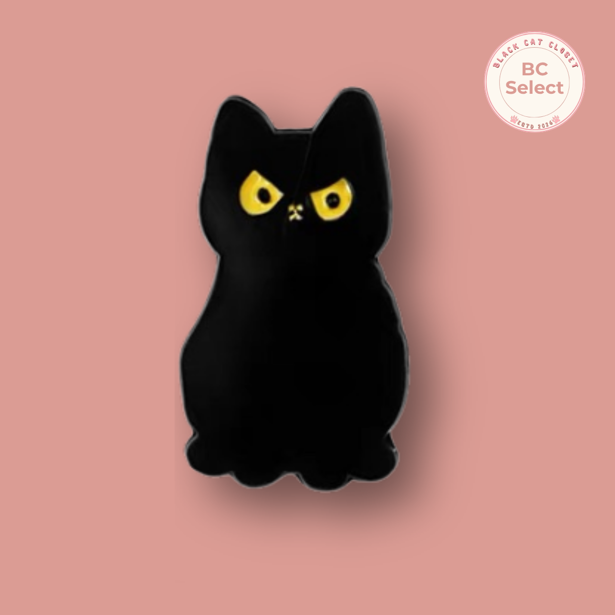Black Cat  Pin