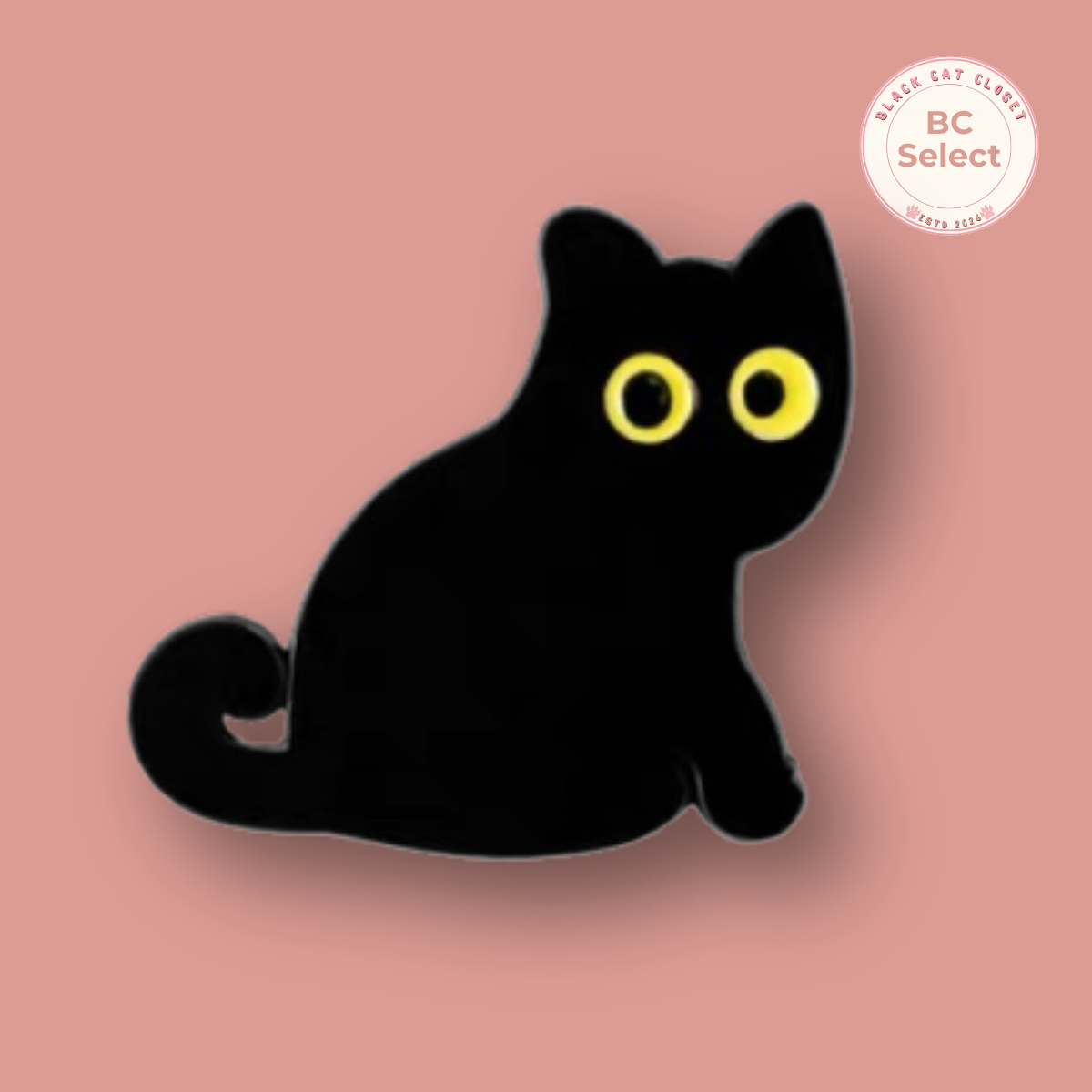 Black Cat  Pin