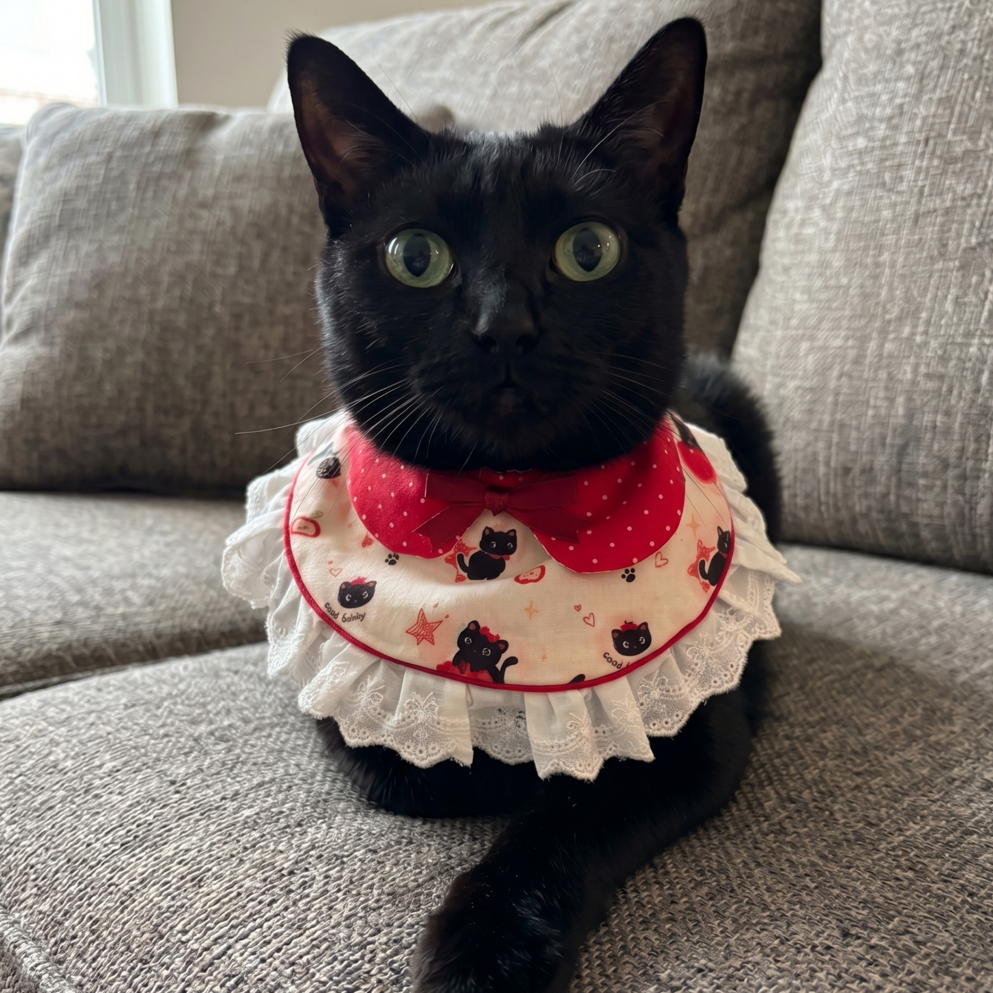 Sweet Pie Pet Bandana | Polka Dot Lolita Collar with Adjustable Drawstring