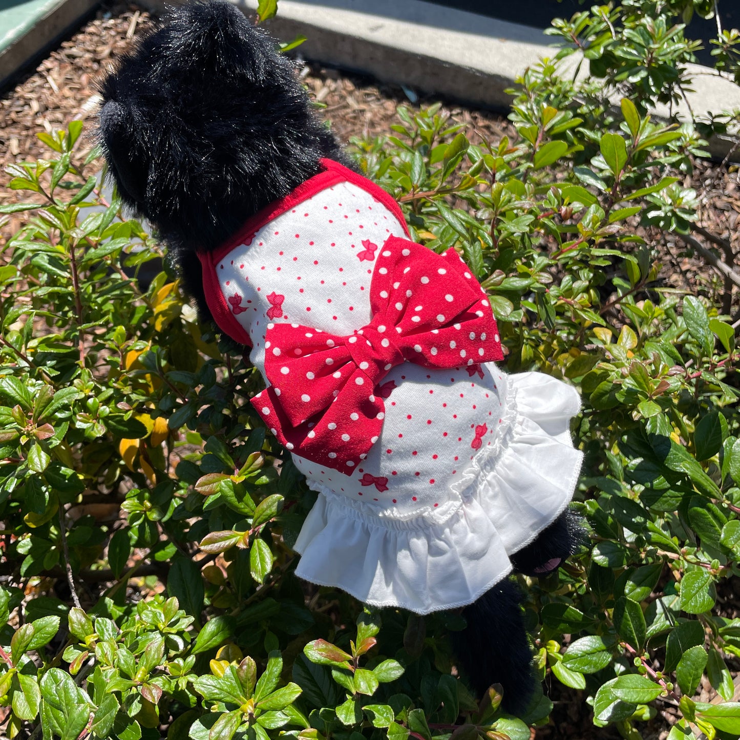 Retro Polka Dot Dress | With Signature Oversized Bow (S-XL)