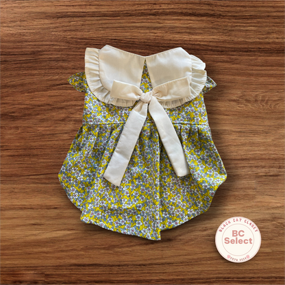 Summer Picnic Floral Dress (S-2XL)