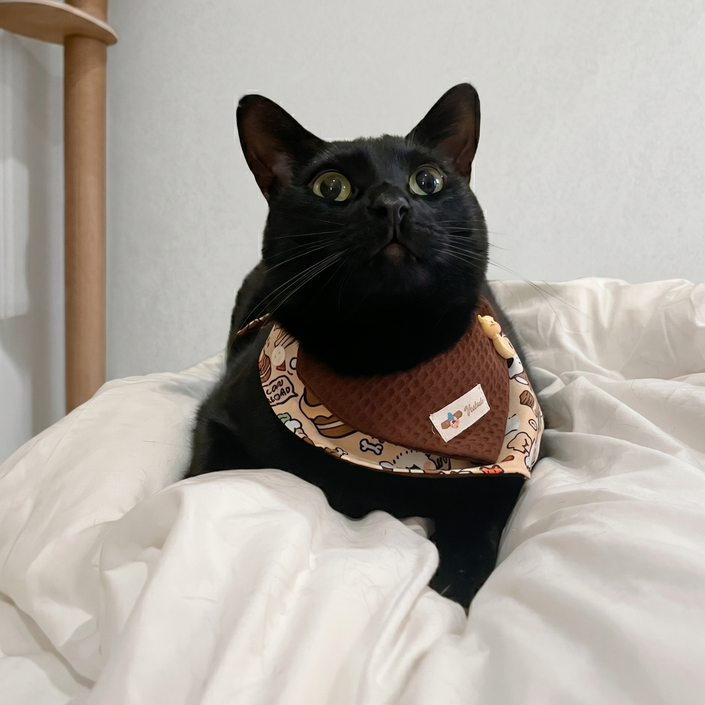 Waffle Bear Pet Bandana | 3-Way Adjustable Snap Collar